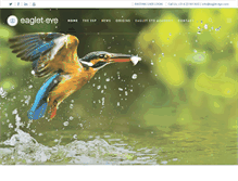 Tablet Screenshot of eaglet-eye.com